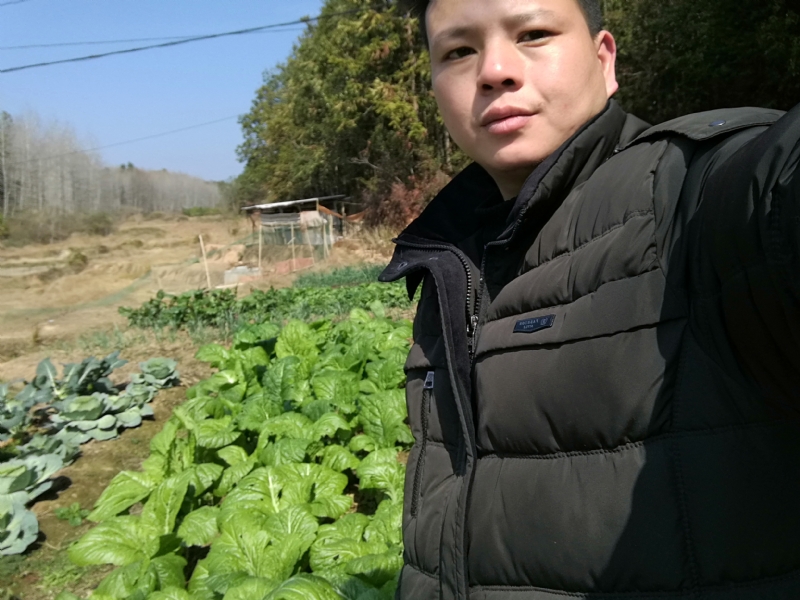 倔强的驴的第一张照片--古田相亲网