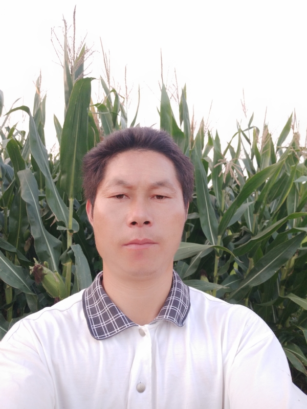 四海游龙的第一张照片--古田相亲网