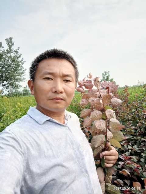孩子爸的第二张照片--古田相亲网