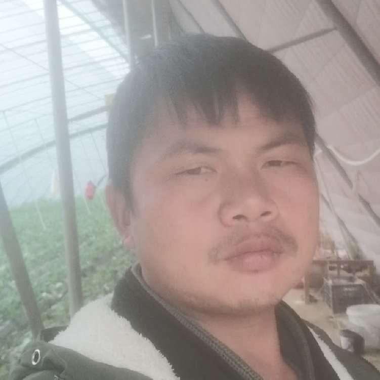 孤狼‘的第一张照片--古田相亲网