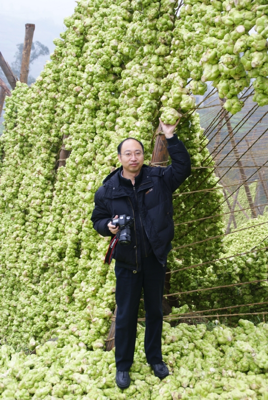 蓝色的海的第一张照片--古田相亲网