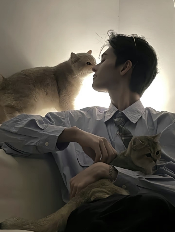 怪猫的第一张照片--古田相亲网