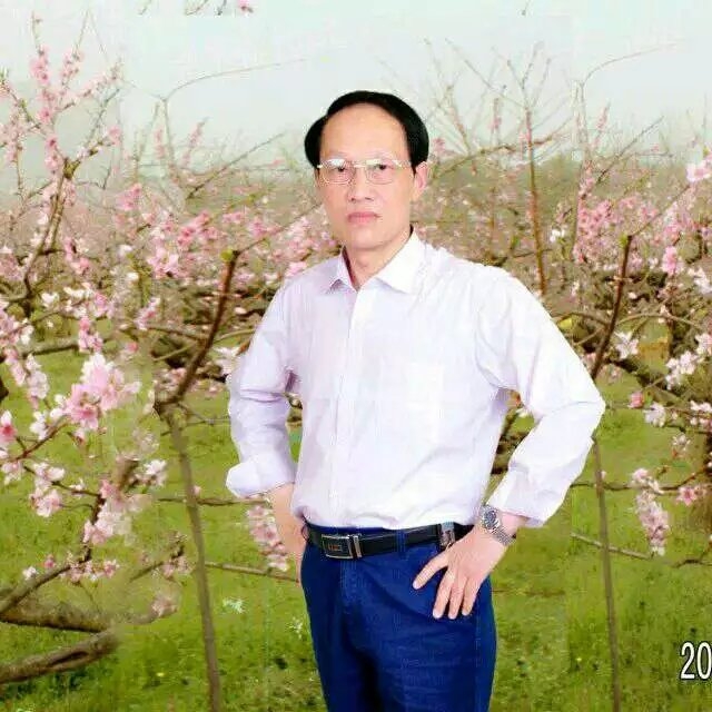 枫叶的第一张照片--古田相亲网